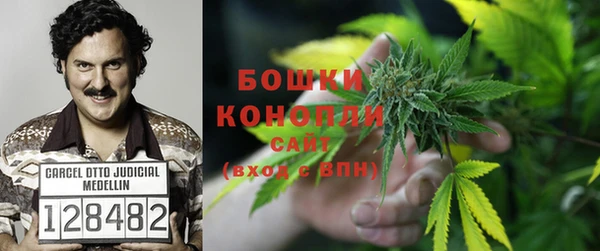 MDMA Бородино