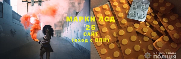 крисы Верхний Тагил