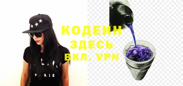 прущие грибы Верея