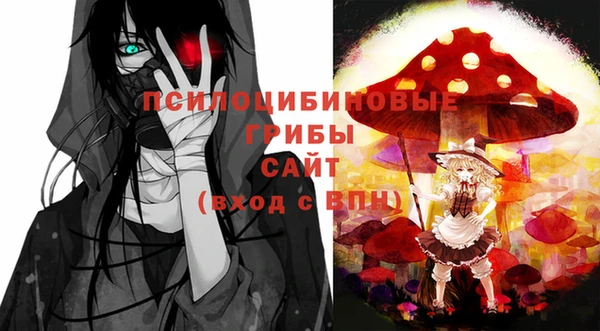 прущие грибы Верея
