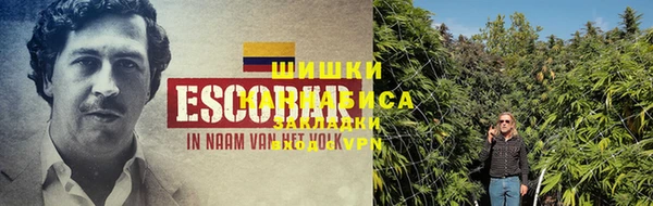 MDMA Бородино