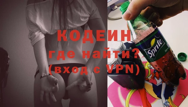 крисы Верхний Тагил